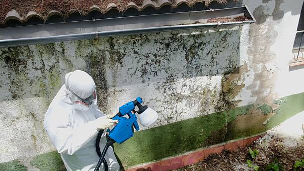 Top rated local Commercial Mold Remediation specialists in Royersford, PA